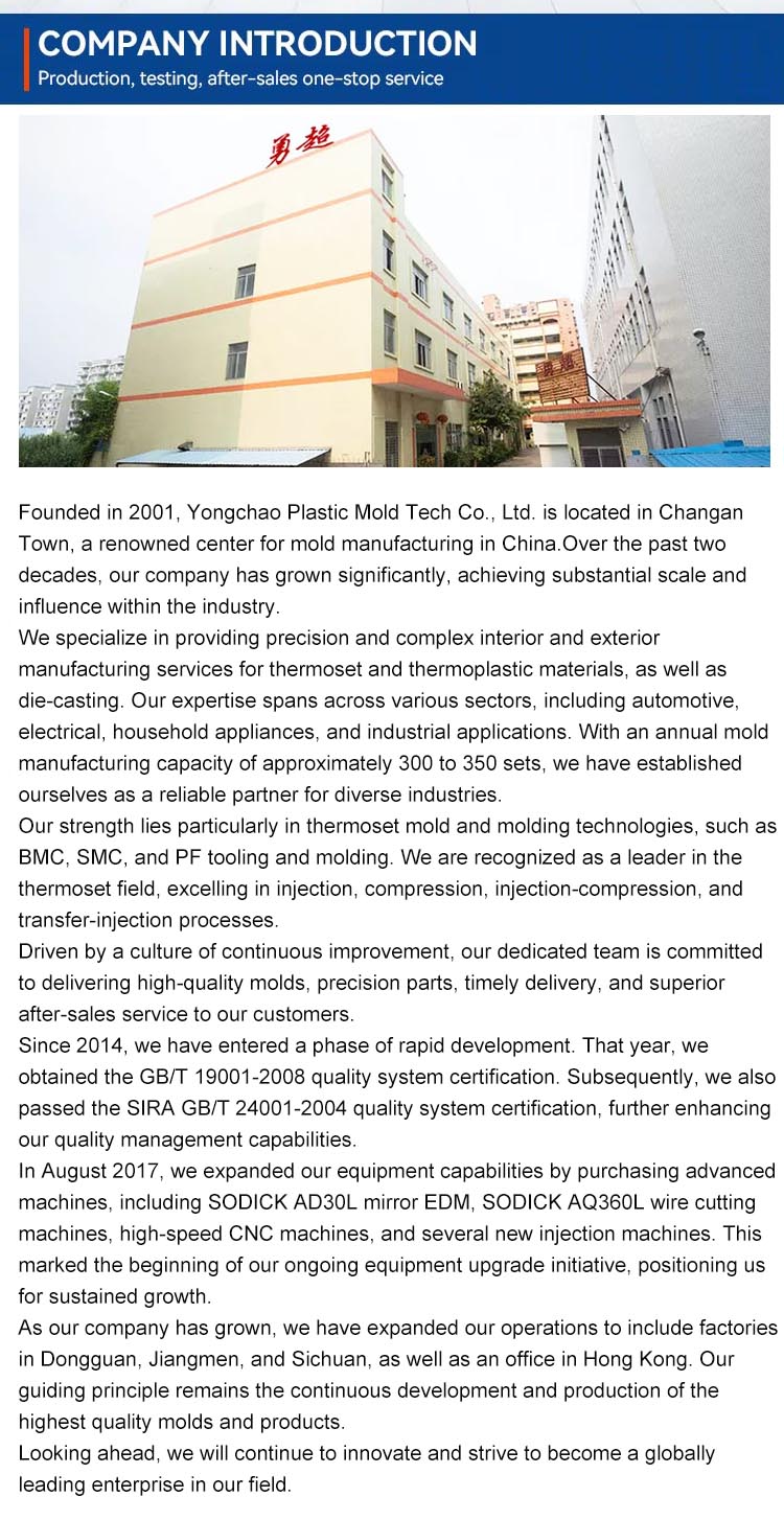 plastic injection mold company