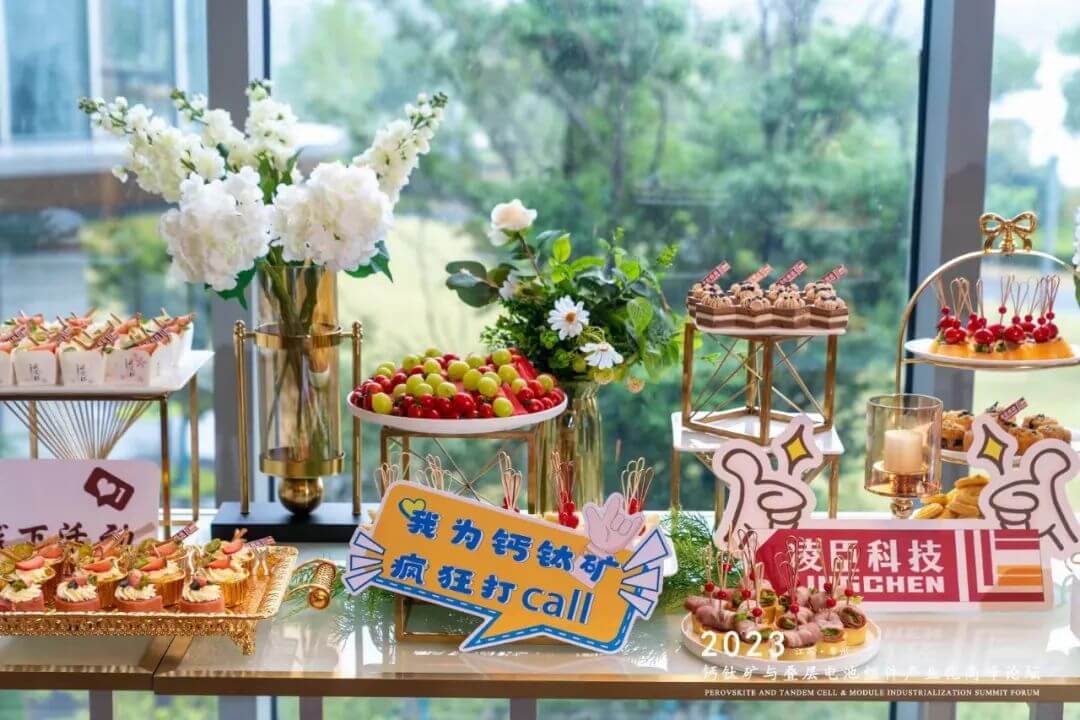 Lingchen Changzhou Summit 2.jpg