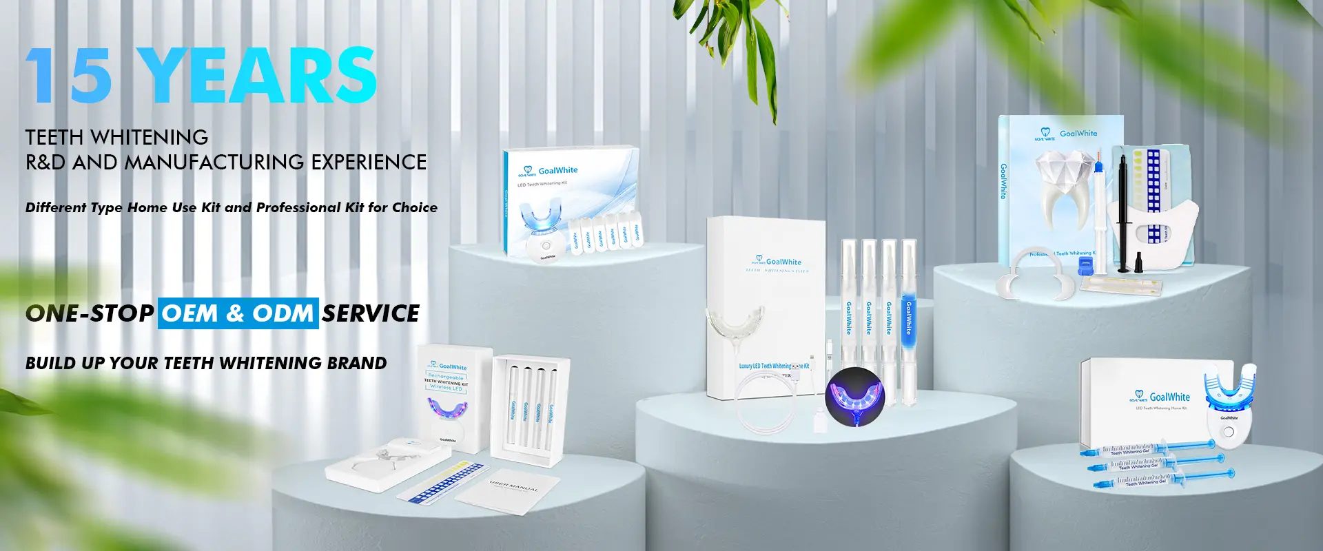 Professional Bleaching Kit