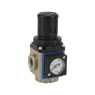Type- Pressure Regulating Valve FGR