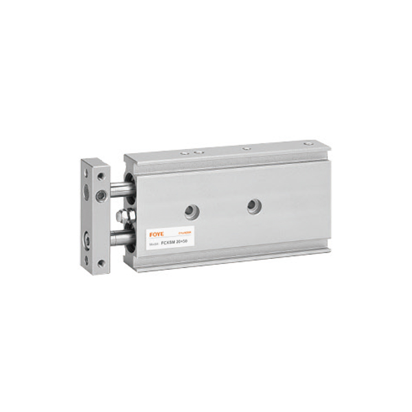 2.FCXS Series Double-Acting Cylinder.jpg