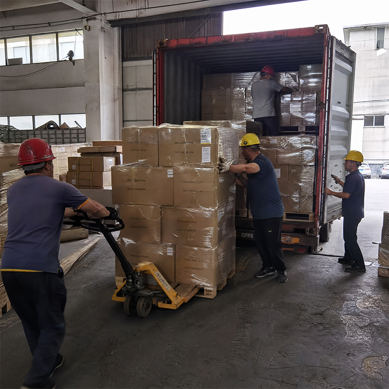 20GP Bulk Container Delivery: Supply Chain Powers Distributor Stock-up