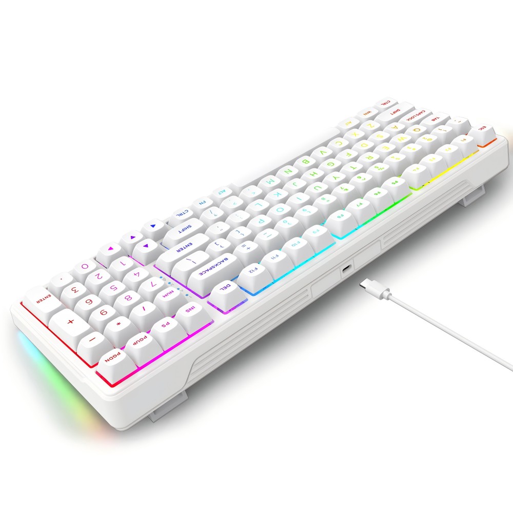 99 Key Wired RGB Hot Swappabl...
