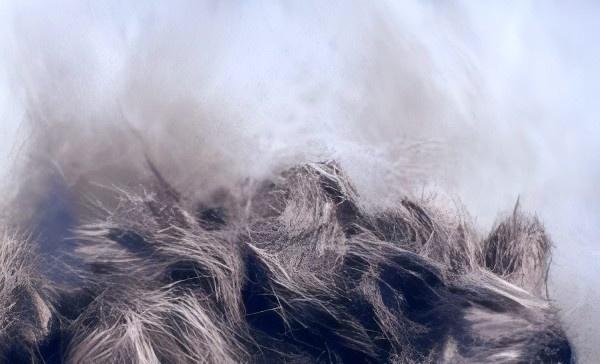 3ltex - Stainless Steel Fibers, Blended with Polyester Or Cotton Fibers for Anti-Static Textiles