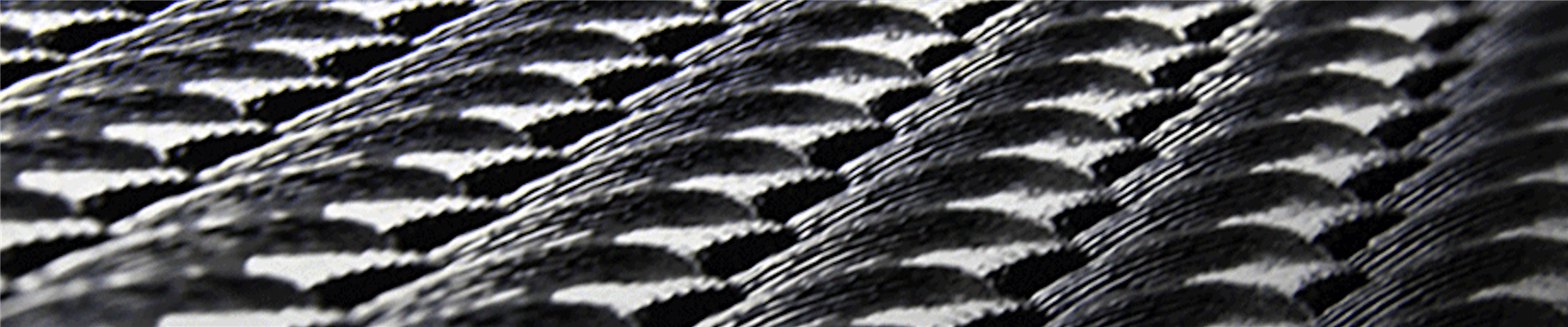 Silver Fiber technology