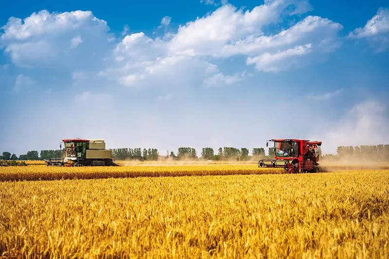 Farm Field