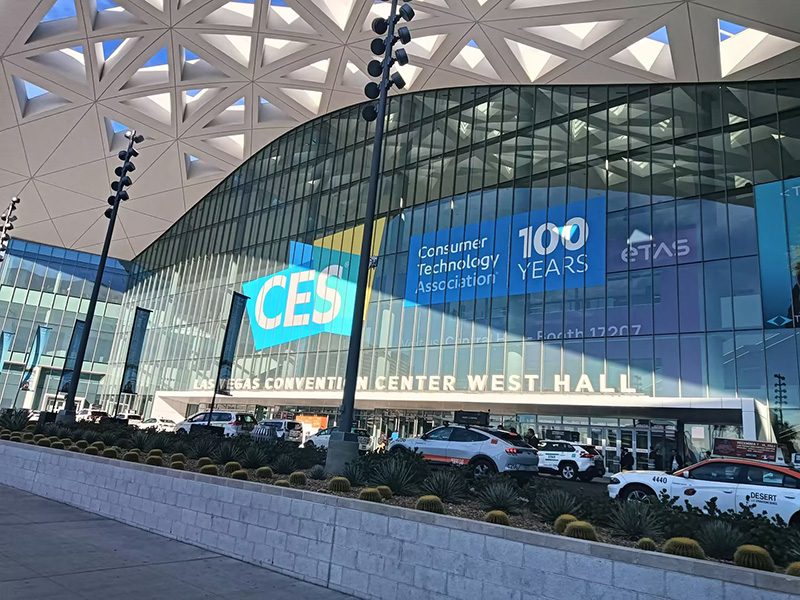 International Consumer Electronics Show (16)