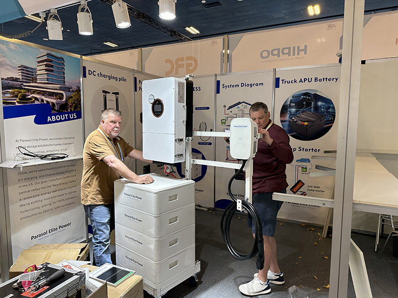 International Consumer Electronics Show (5)