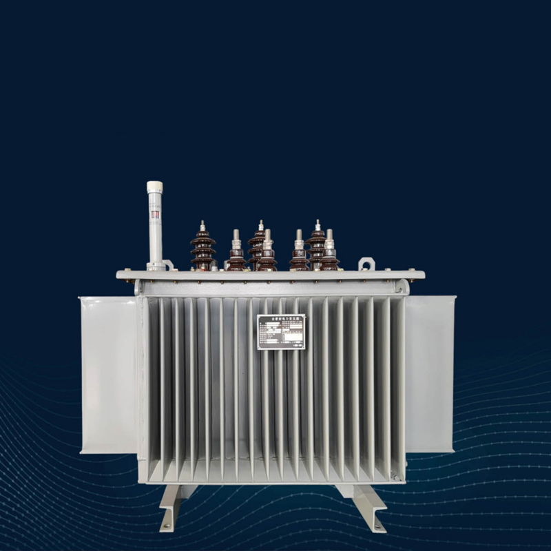 S13-M Fully Sealed Oil Immersed Transformer