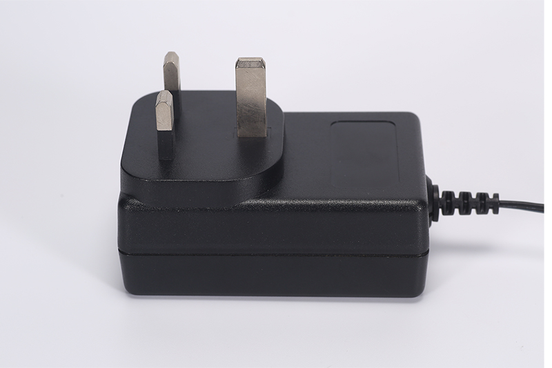 DYS818 18W-2