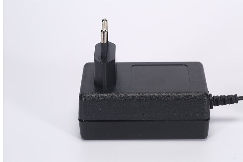 DYS824 24W-2