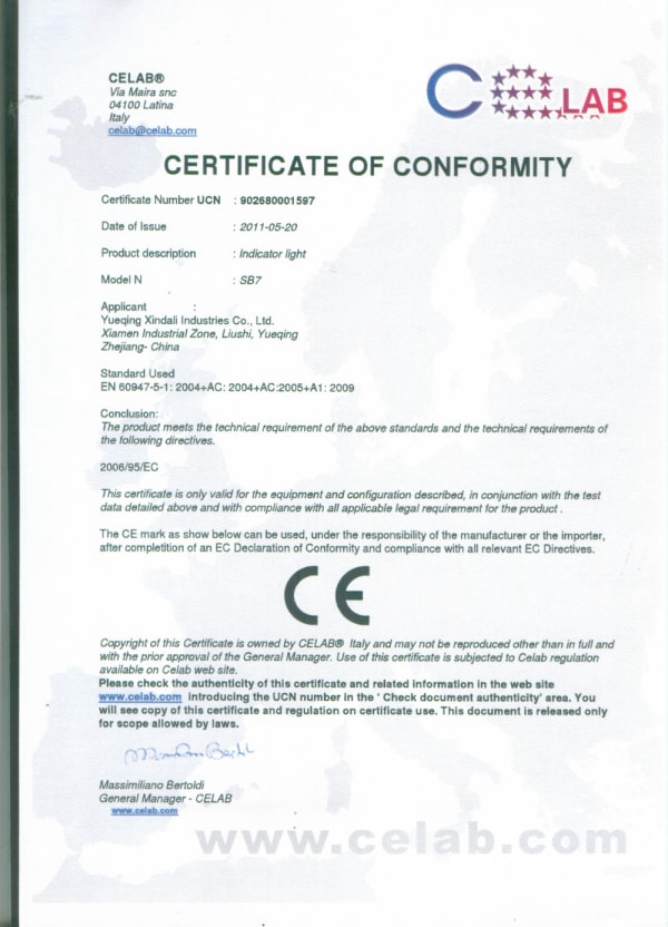 Ce Report (1)