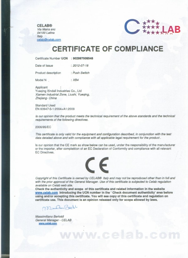Ce Report (4)
