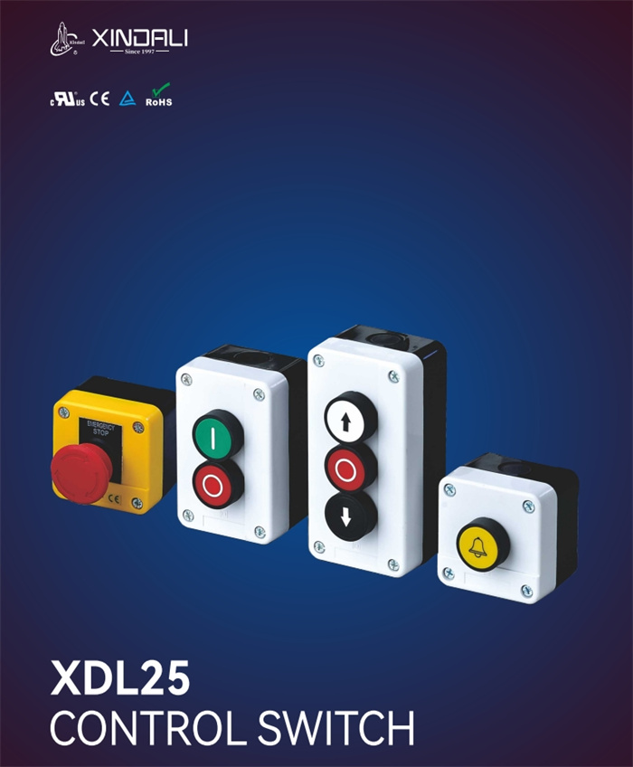 XDL25 Series control station (1)