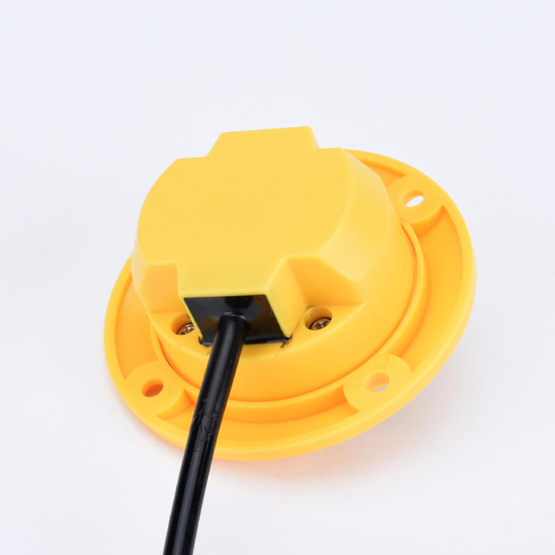 pedal switch