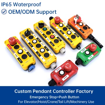 Waterproof Pendant Controller for Truck Tail Lift with Emergency Stop Vehicle Lift Remote Control