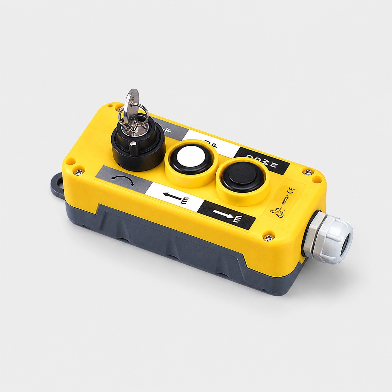 XDL10-EPBG3 keyed selector pendant controller (4).jpg