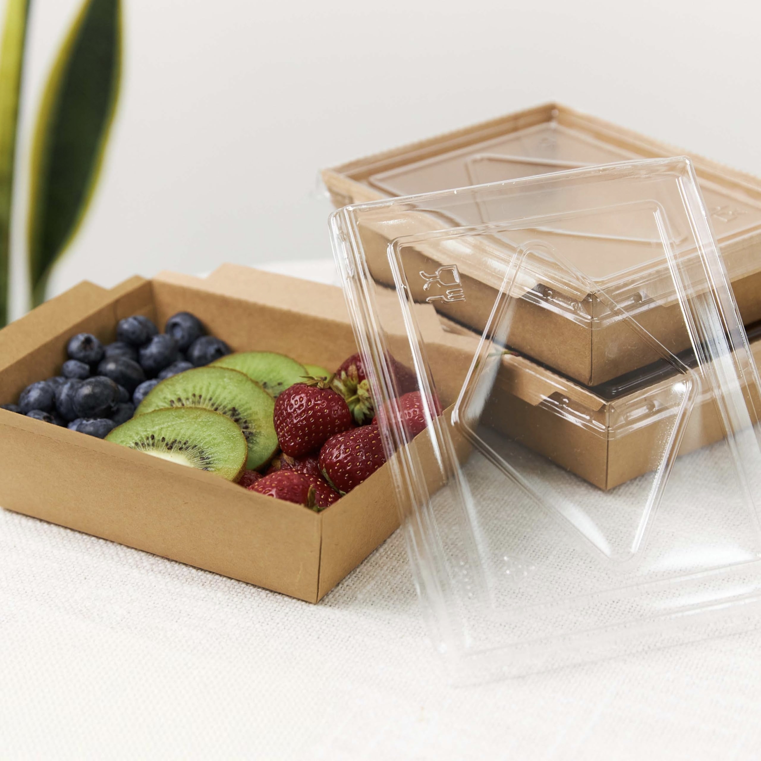 Kraft paper universal grid lunch box (6)(1)