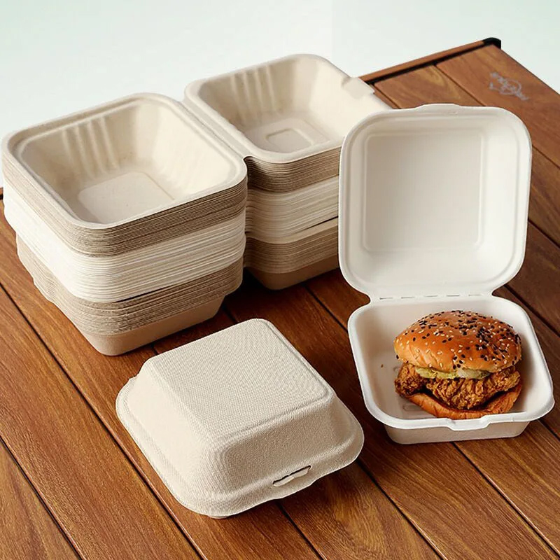 Sugarcane Bagasse Burger Box (1)