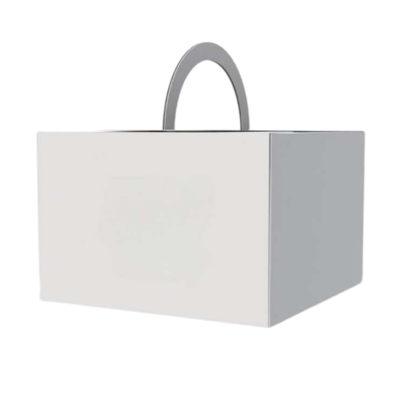 White Cardstock Cake Box (3)