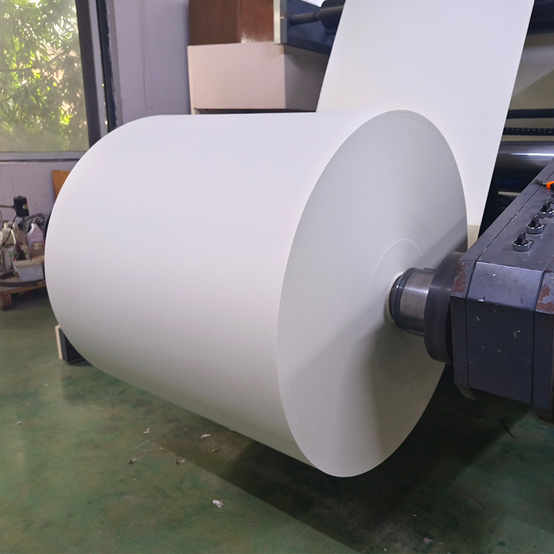 Wood Pulp PE Coated Paper for Paper Cup