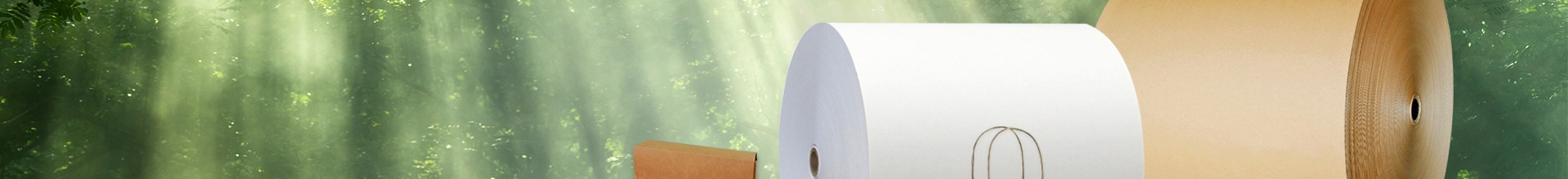 Fbb Packaging