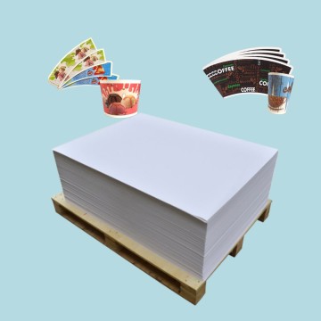 中國PE塗佈紙原料供應商
