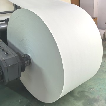 C1S IVORY BOARD (Folding Box Board / FBB)
