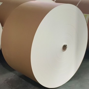 Rouleau de papier couché PE de qualité supérieure (150-350 g/m²) pour gobelets et bols à boissons, disponible en différentes marques et conditionnements.