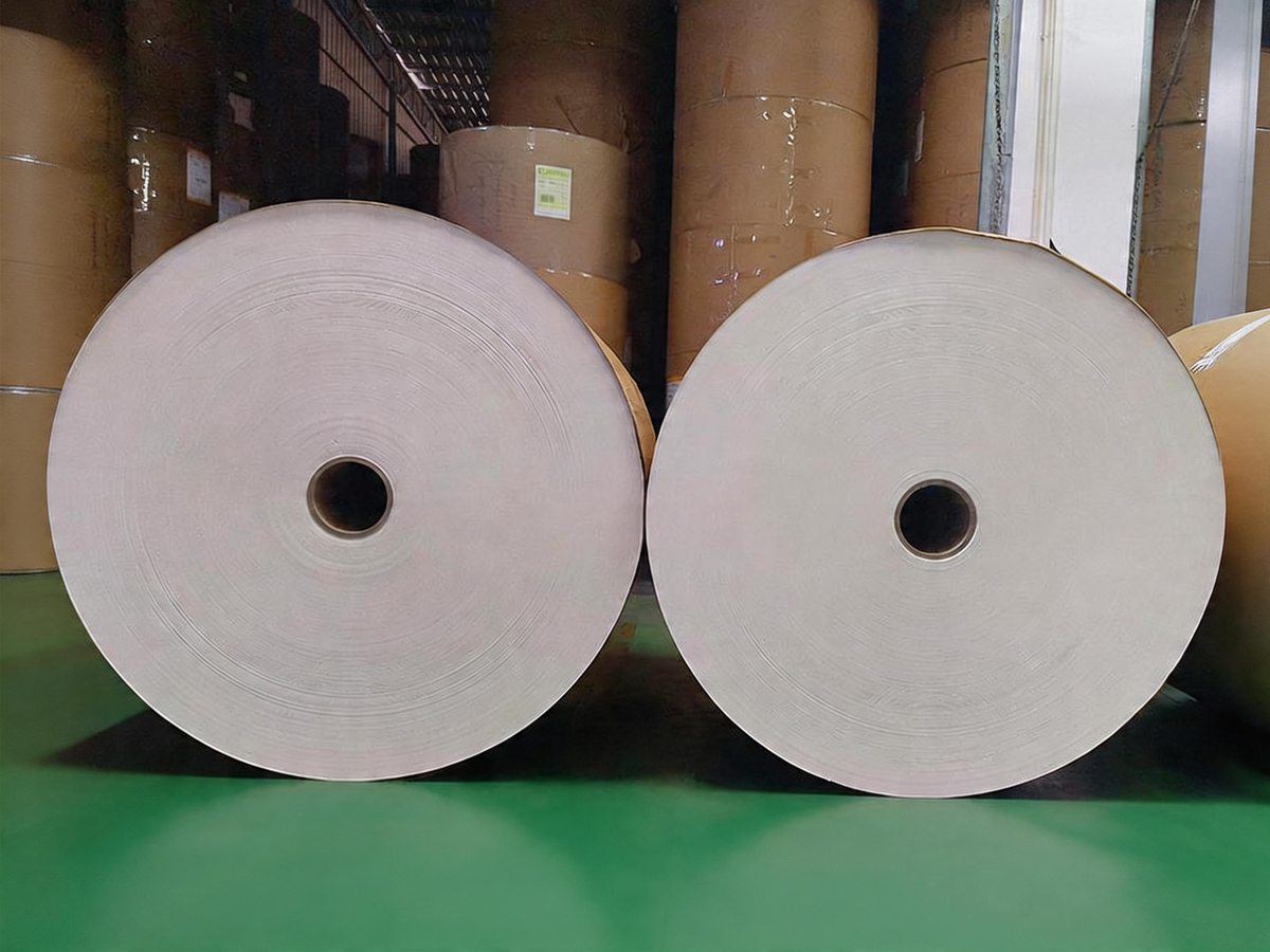 Papier kraft couché PE : Applications, avantages et guide du carton d’emballage alimentaire