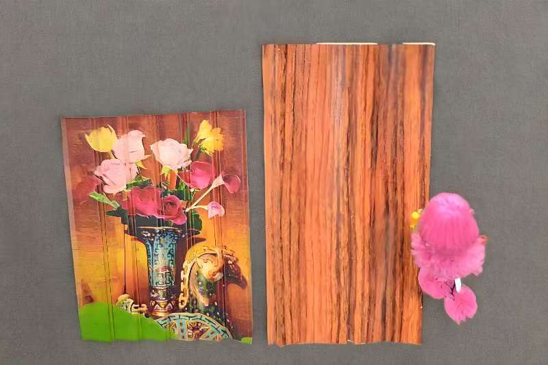 wood floor UV printing machine