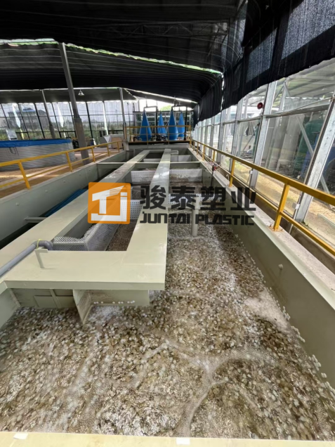 Aquaponik MBBR verwenden