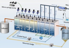 Phase aérobie du procédé AAO : fonctionnement et équipement essentiel | Juntai Water Solutions