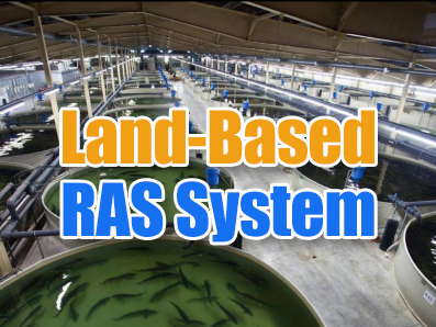 陸上循環型養殖システム(RAS)プロセス技術