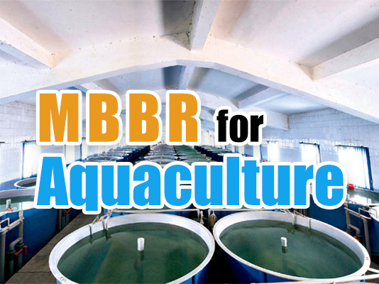 水産養殖におけるMBBR：RASシステムでアンモニアを削減し、魚の成長を促進