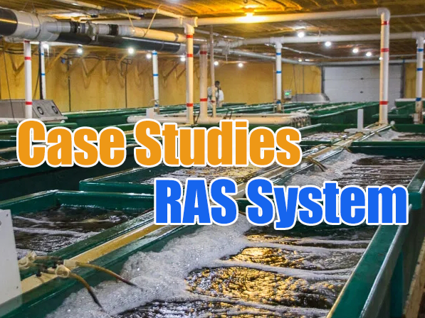 RAS向け水処理工学の設計とケーススタディ