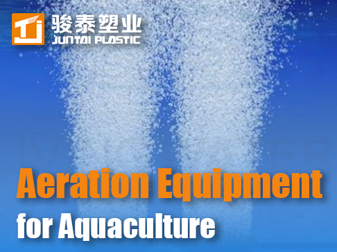 Systèmes d'aération pour l'aquaculture : sélection, optimisation et analyse des coûts | Guide de l'expert