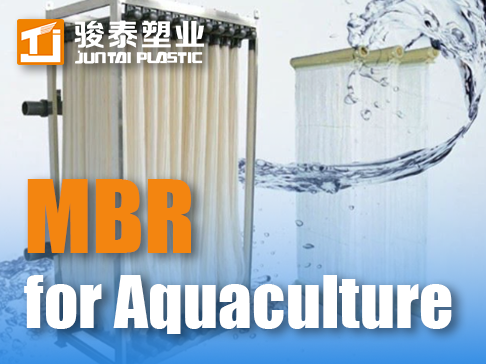 MBR pour les eaux usées d'aquaculture : traitement et protection de l'écologie