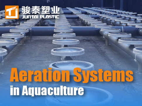 Aeration Systems in Aquaculture: Optimization, Equipment Selection & Maintenance