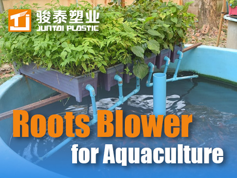 Roots Blower for Aquaculture | High Efficiency Aeration Equipment