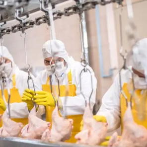 meat processing wastewater treatment