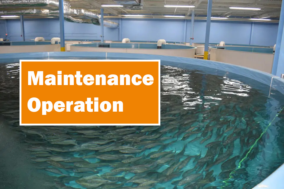 Construction and Operation & Maintenance of Industrial RAS