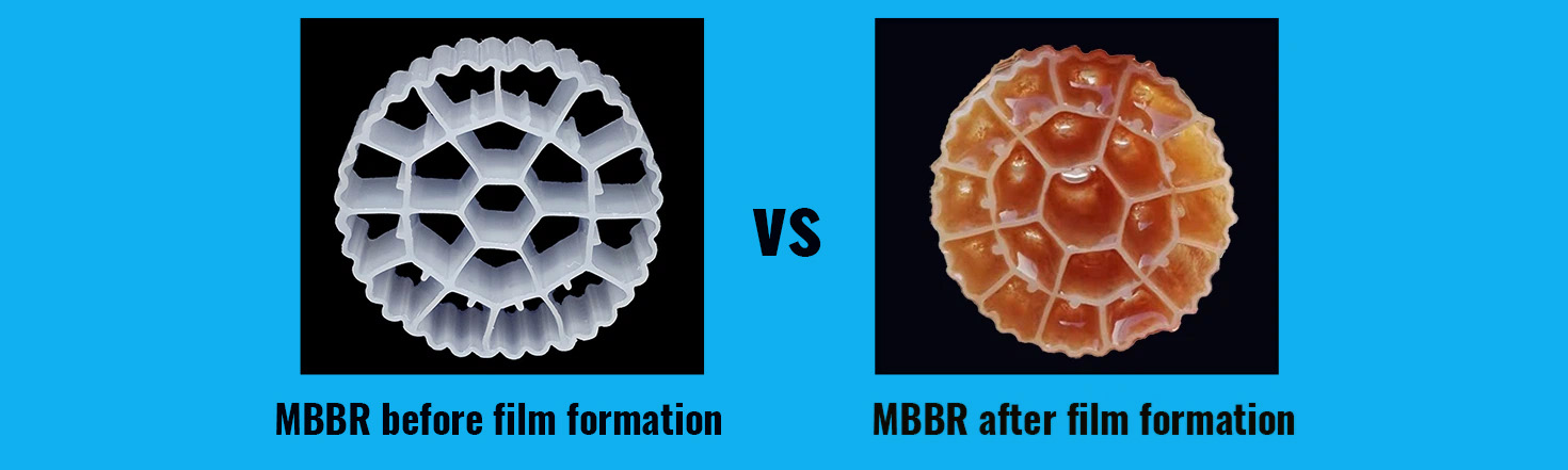 mbbr before after film formation