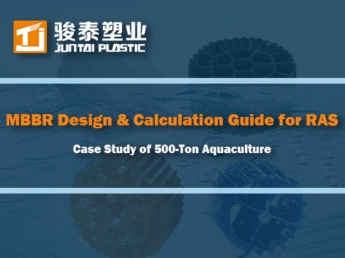 MBBR Design & Calculation Guide for RAS: Case Study of 500-Ton Aquaculture