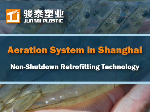Non-Shutdown Retrofitting Technology for Aeration System in a Shanghai WWTP