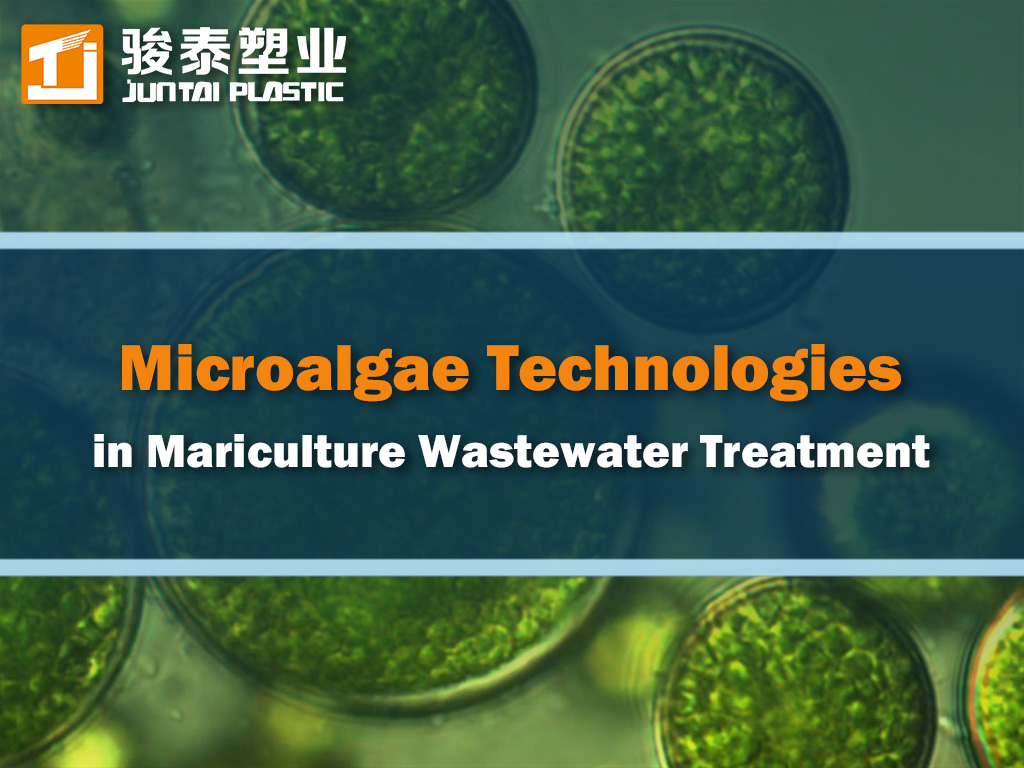 Innovative Microalgae Technologies for Mariculture Wastewater Treatment: Mechanisms, Challenges and Future Directions