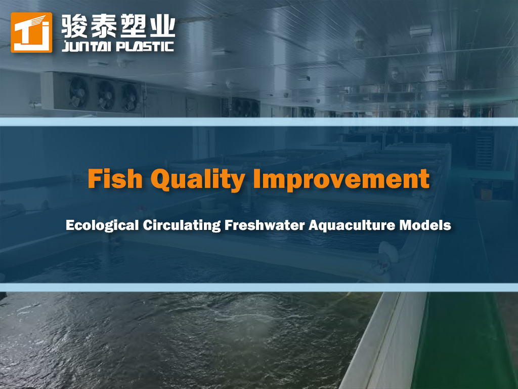 Research on the Impact of Ecological Circulating Freshwater Aquaculture Models on Fish Quality Improvement