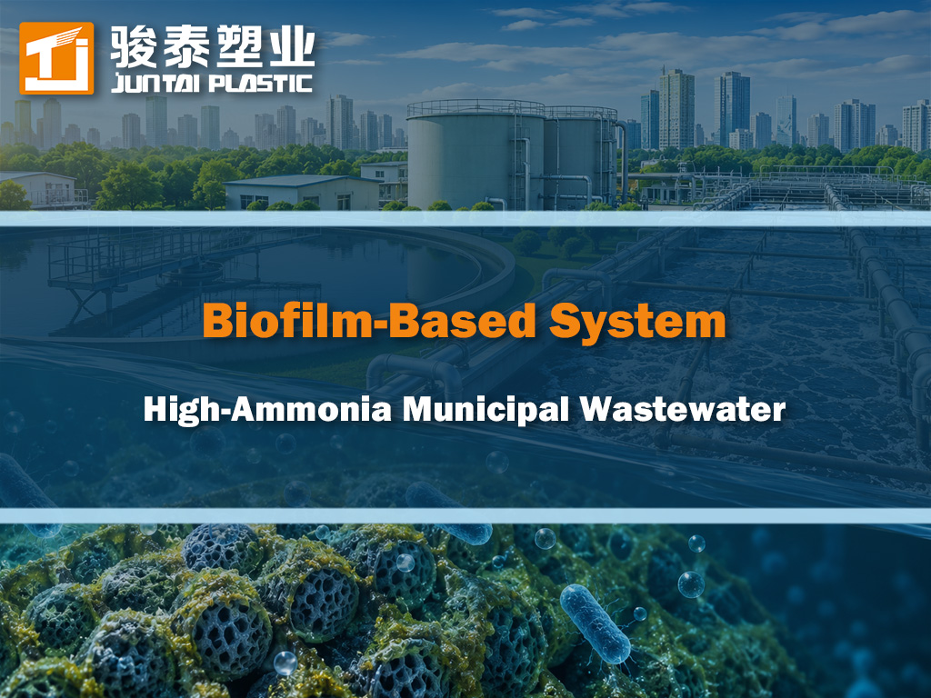 Performance of Biofilm-Based Secondary Treatment Systems in Treating High-Ammonia Municipal Wastewater