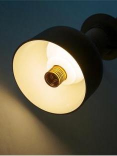 Screw socket lamp holder