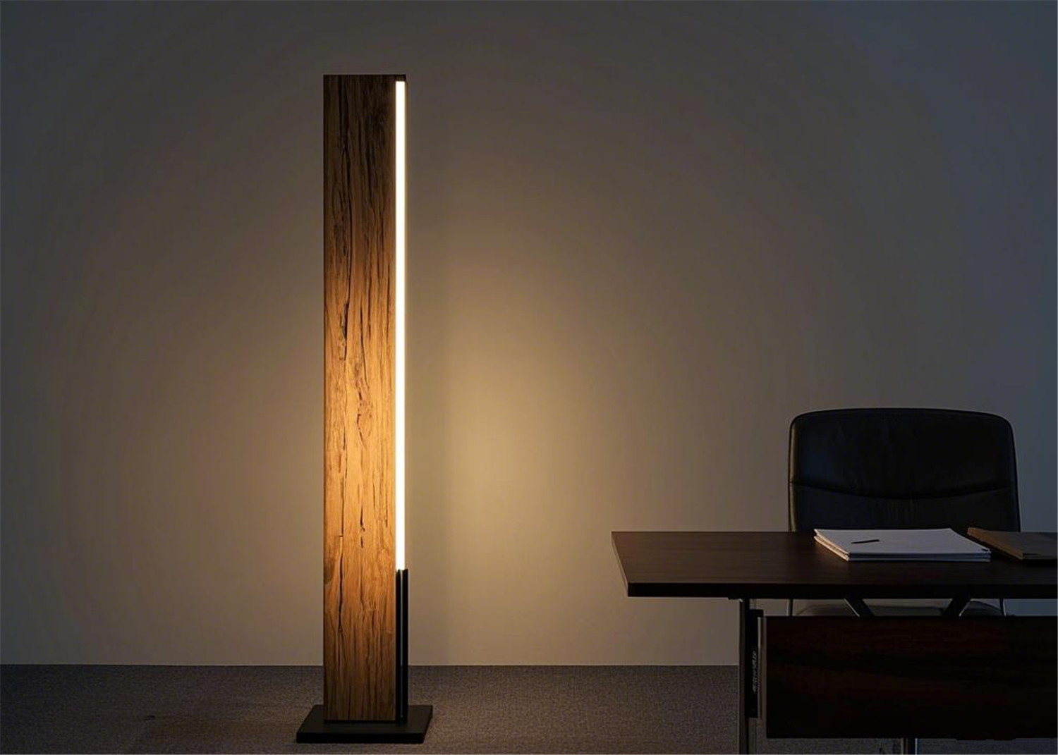 A floor Lamp With Multiple Usage Scenarios